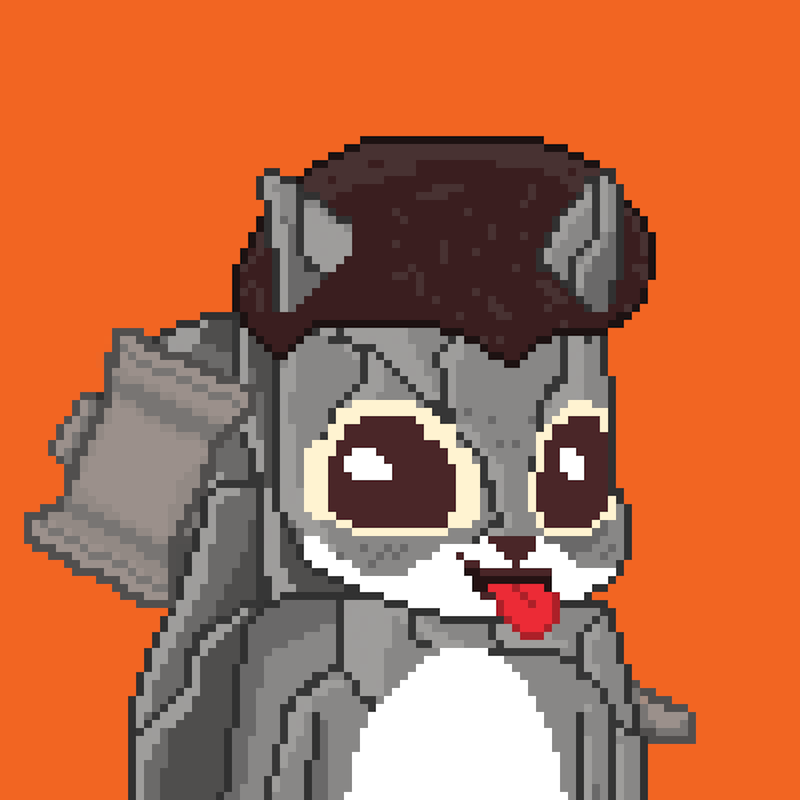 Pixel Squirrels #9971